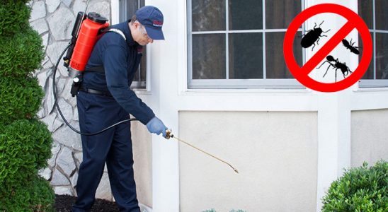 Üçyol Akrep İlaçlama böcek ilaçlama ve haşere kontrolü — ilaclama-tr.com